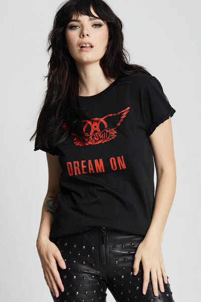 Graphic Tee - Aerosmith