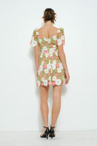 Lace Fit & Flared Dress